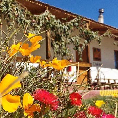 La Chakana Lodge プトレ エクステリア 写真