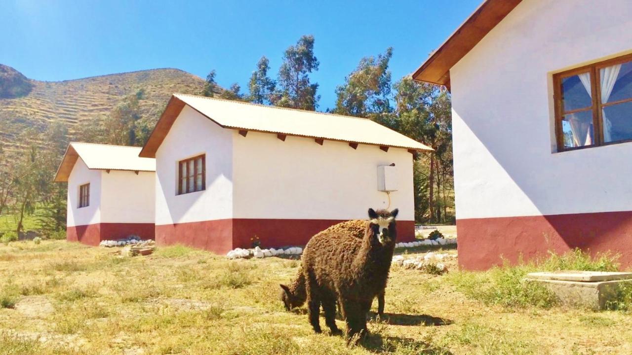 La Chakana Lodge プトレ エクステリア 写真