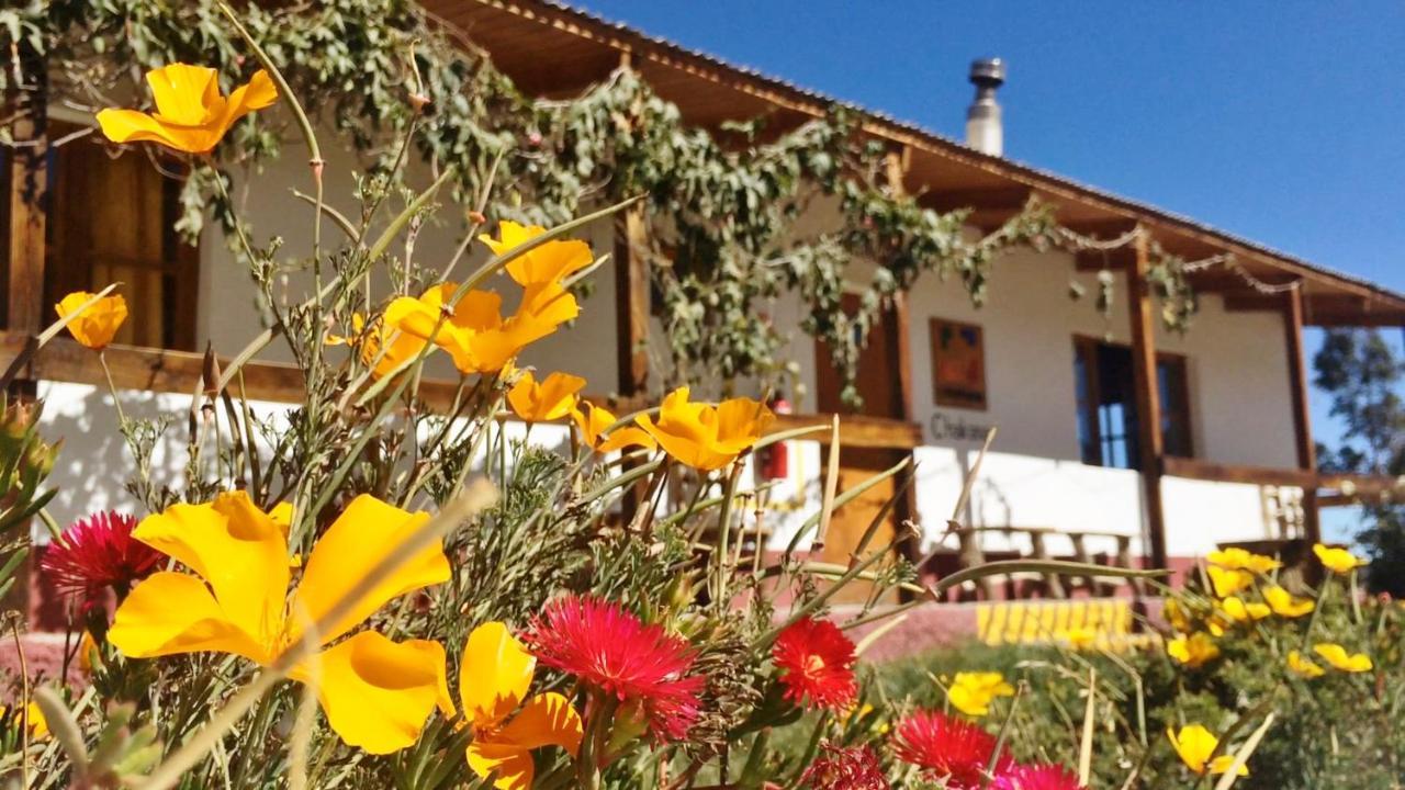 La Chakana Lodge プトレ エクステリア 写真